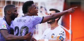 vini