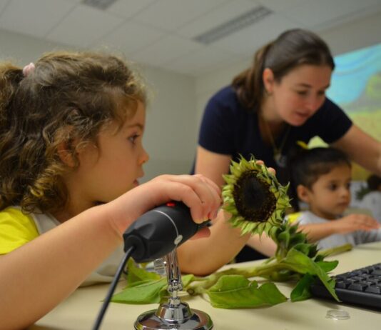 Cenas do Cotidiano: Divino fará evento para educadores cenas