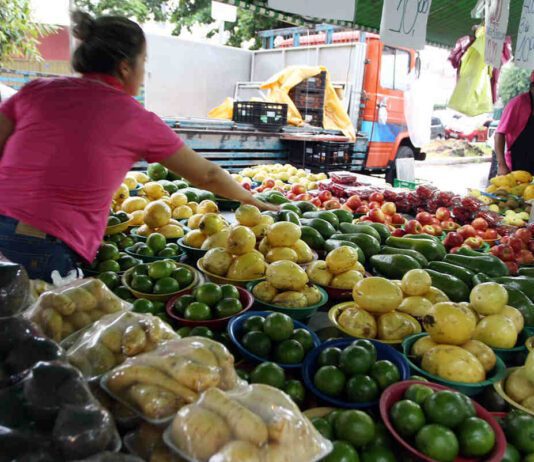 Escoamento da produção RURAL: Jundiaí tem vários programas produção rural