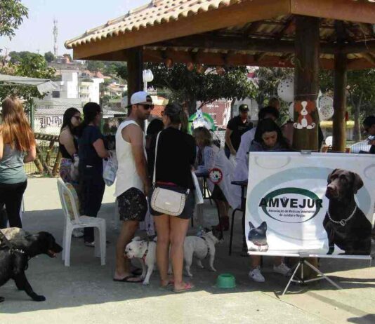 semana pet
