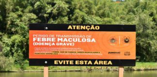 FEBRE MACULOSA