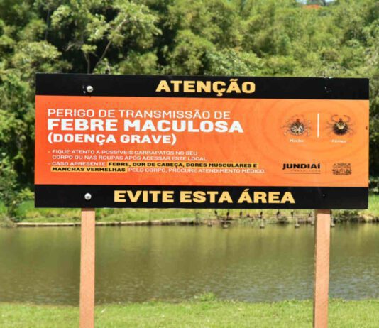 FEBRE MACULOSA