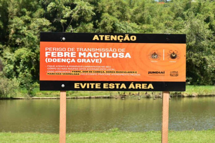 FEBRE MACULOSA