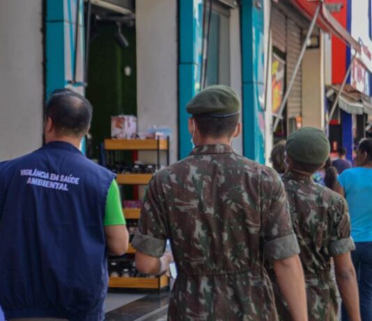 aedes
