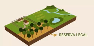 reserva