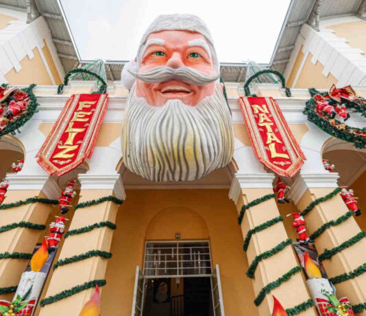 NATAL LUZ: exposições no Museu e na Pinacoteca vão até janeiro natal
