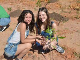 parque do lago