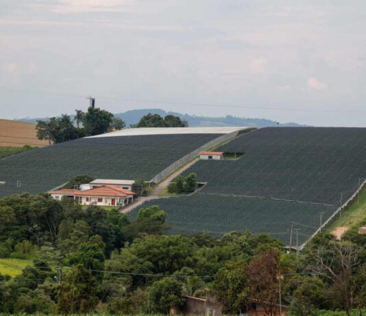 Agronegócio: Investimentos aumentam 474% nos últimos 6 anos agronegócio