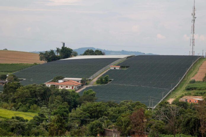 agronegócio agronegócio