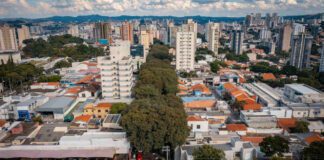 ARBORIZAÇÃO