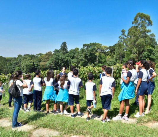 Desemparedamento: USP levará projeto para outras cidades Desemparedamento