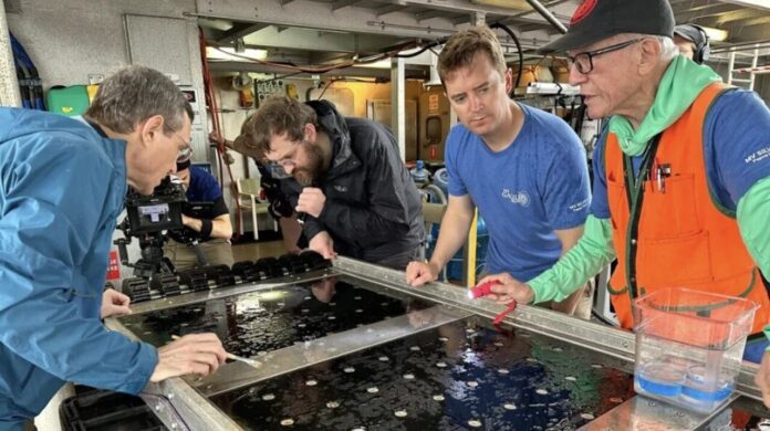 astrônomo astrônomo