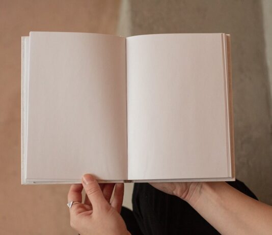 O LIVRO DA VIDA de Daniele livro