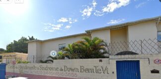 bem-te-vi