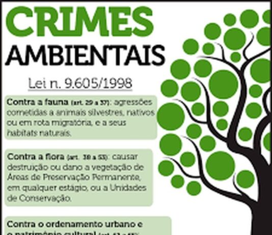 meio ambiente