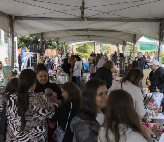 ECONOMIA CRIATIVA: Festival começa nesta sexta(14) economia