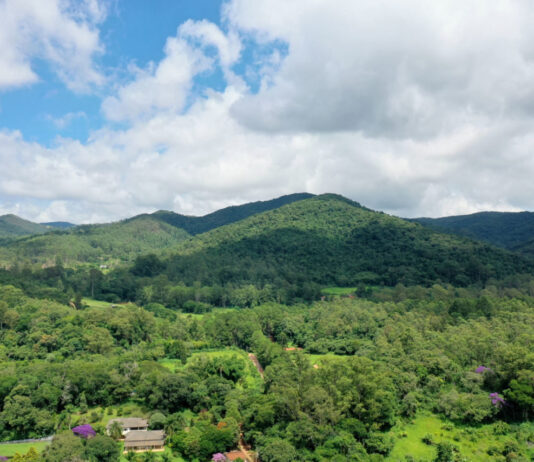 Semana do MEIO AMBIENTE: Celebrações começam hoje(5) semana