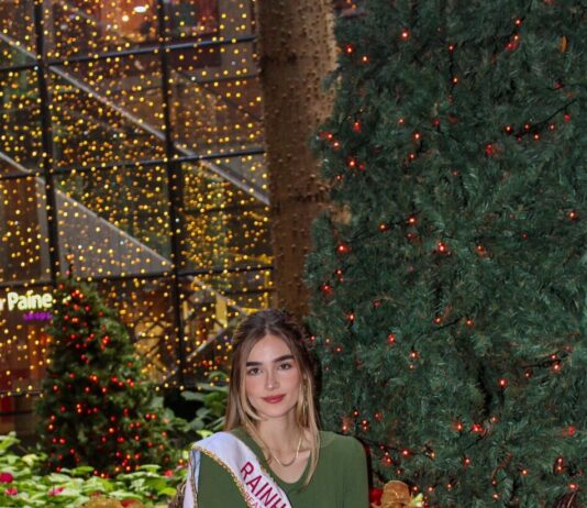PAPAI NOEL