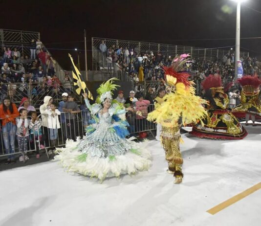 Escolas de Samba desfilarão. Mas, Prefeitura não queira… escolas
