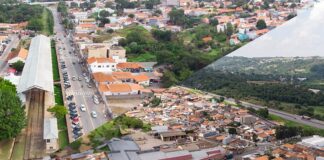 louveira