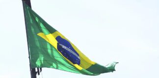 vereador