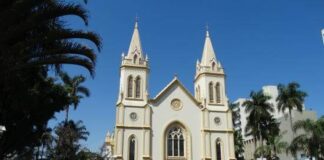 corpus