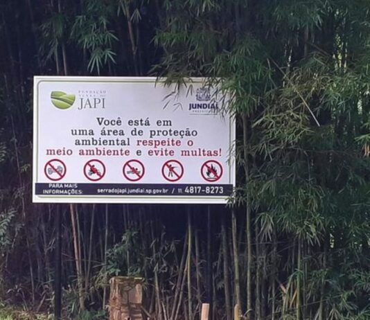 apa
