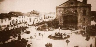 terra querida