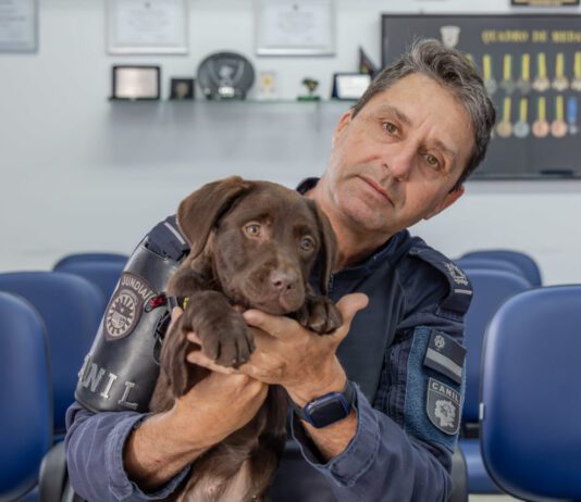 Qual nome você daria para a nova cachorrinha da GM? cachorrinha