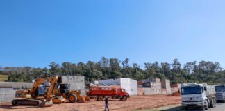 jardim dos cravos