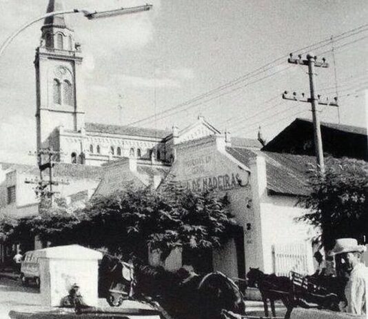 Memória: A seiva da Terra, o sangue da História memória