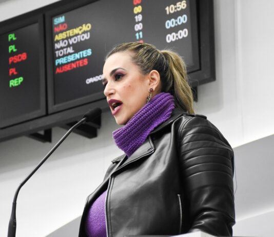 QUÉZIA: “Fui vítima de violência política de gênero e peço respeito” quézia