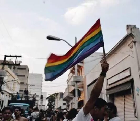 PARADA LGBT+ como patrimônio cultural vivo PARADA