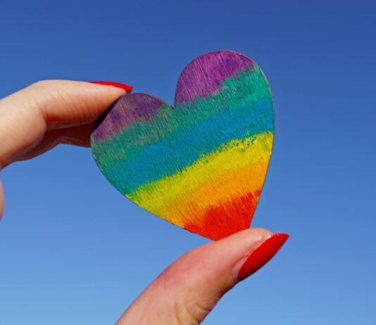 20 anos de Parada LGBT: Memória, cultura e resistência 20 anos