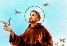 FRANCISCO DE ASSIS FRANCISCO