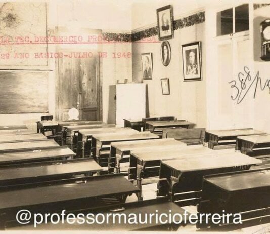 PROFESSORES PROFESSORES