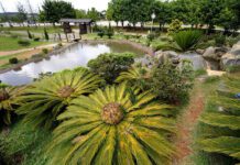 CONCESSÃO de parques: Prefeitura autoriza estudos concessão