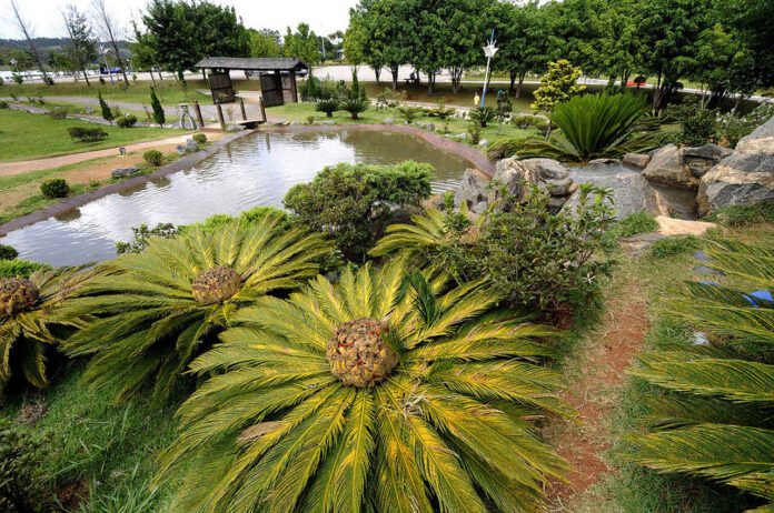 concessão concessão