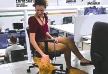 Coworking público: Inovação e apoio a novos tipos de trabalho coworking