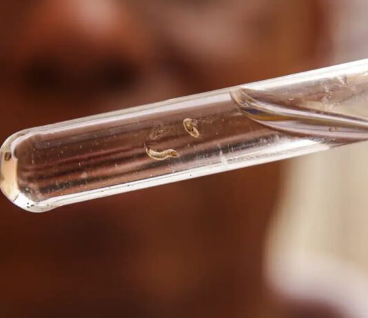 DENGUE: Três mortes e 7.589 casos confirmados dengue