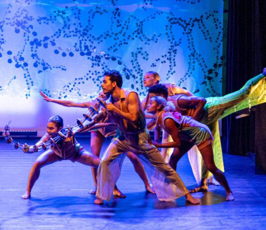 Folia dos BICHOS será exibida neste domingo(19), no Polytheama folia