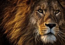 IR zero até R$ 5 mil: Quem ganha, quem perde? E para Jundiaí? ir