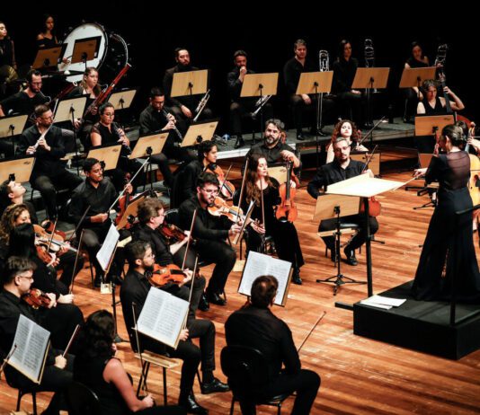 Orquestra Municipal: Audiência na Câmara será hoje(23) orquestra