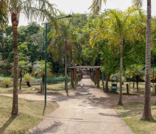 Parque Botânico TULIPAS será revitalizado pela Prefeitura parque