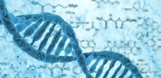 “VIDA na Terra foi projetada”, diz cientista vida