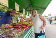 FEIRAS livres e varejões: Garantia de segurança aos consumidores FEIRAS