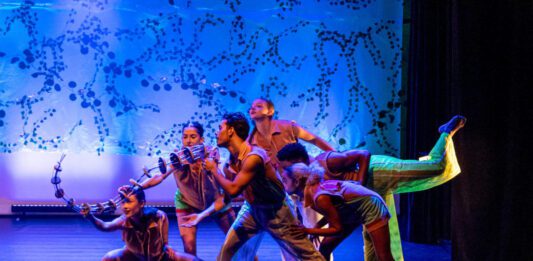 Cia Jovem de Dança apresenta ‘Folia dos Bichos’ no domingo(9) cia jovem