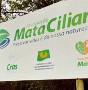 mata ciliar