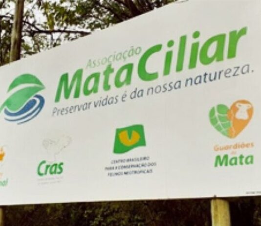 Mata Ciliar: Audiência discutirá mudança do imóvel para ZEPAM mata ciliar