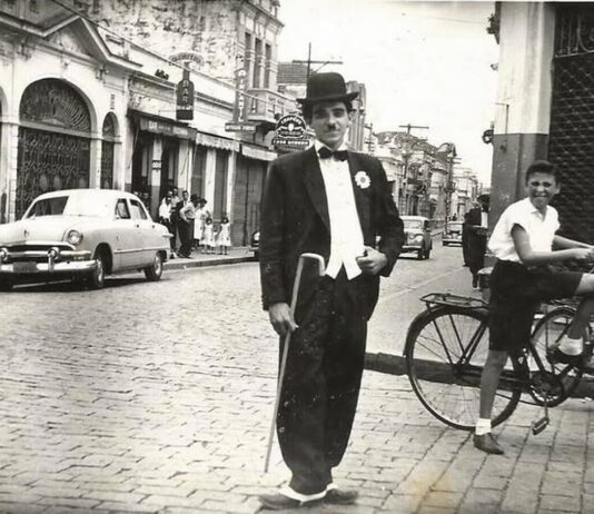 TERRA QUERIDA JUNDIAÍ: Livro será lançado dia 29 terra